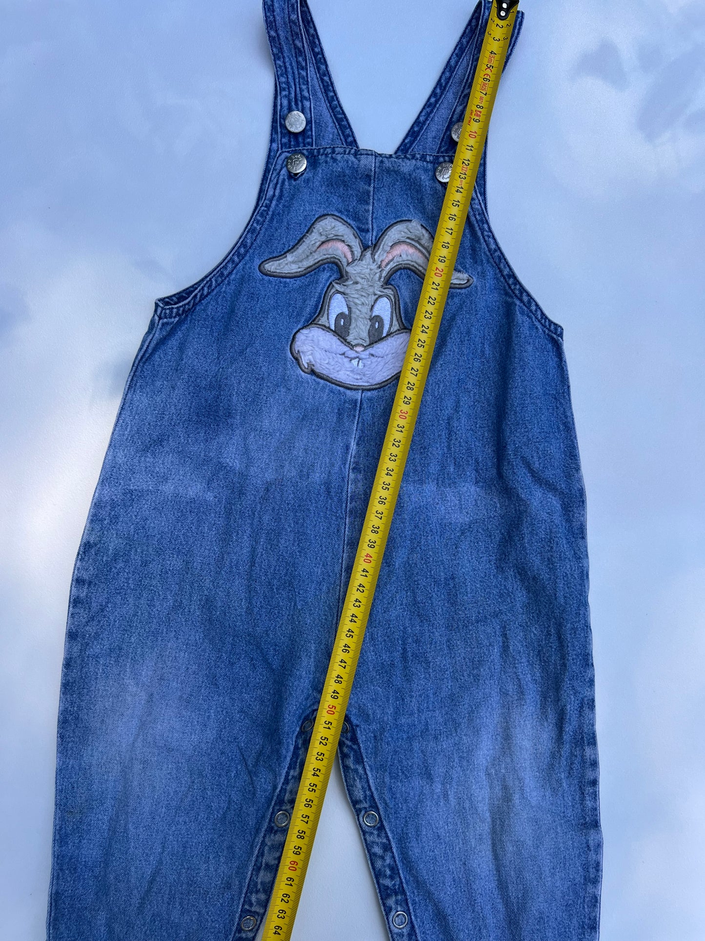 Looney Tunes Overalls 24M