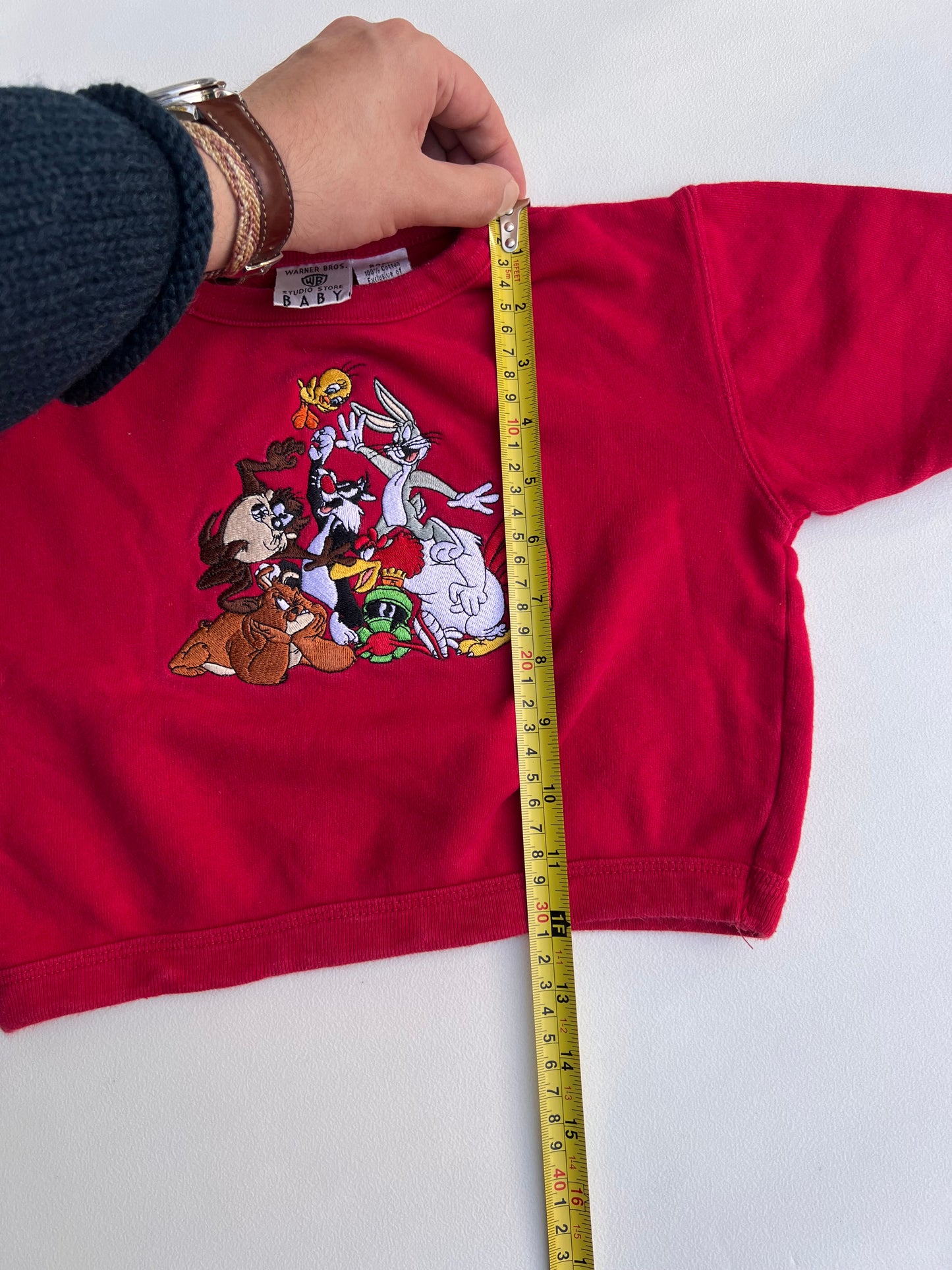 Warner Bros Sweater 24M