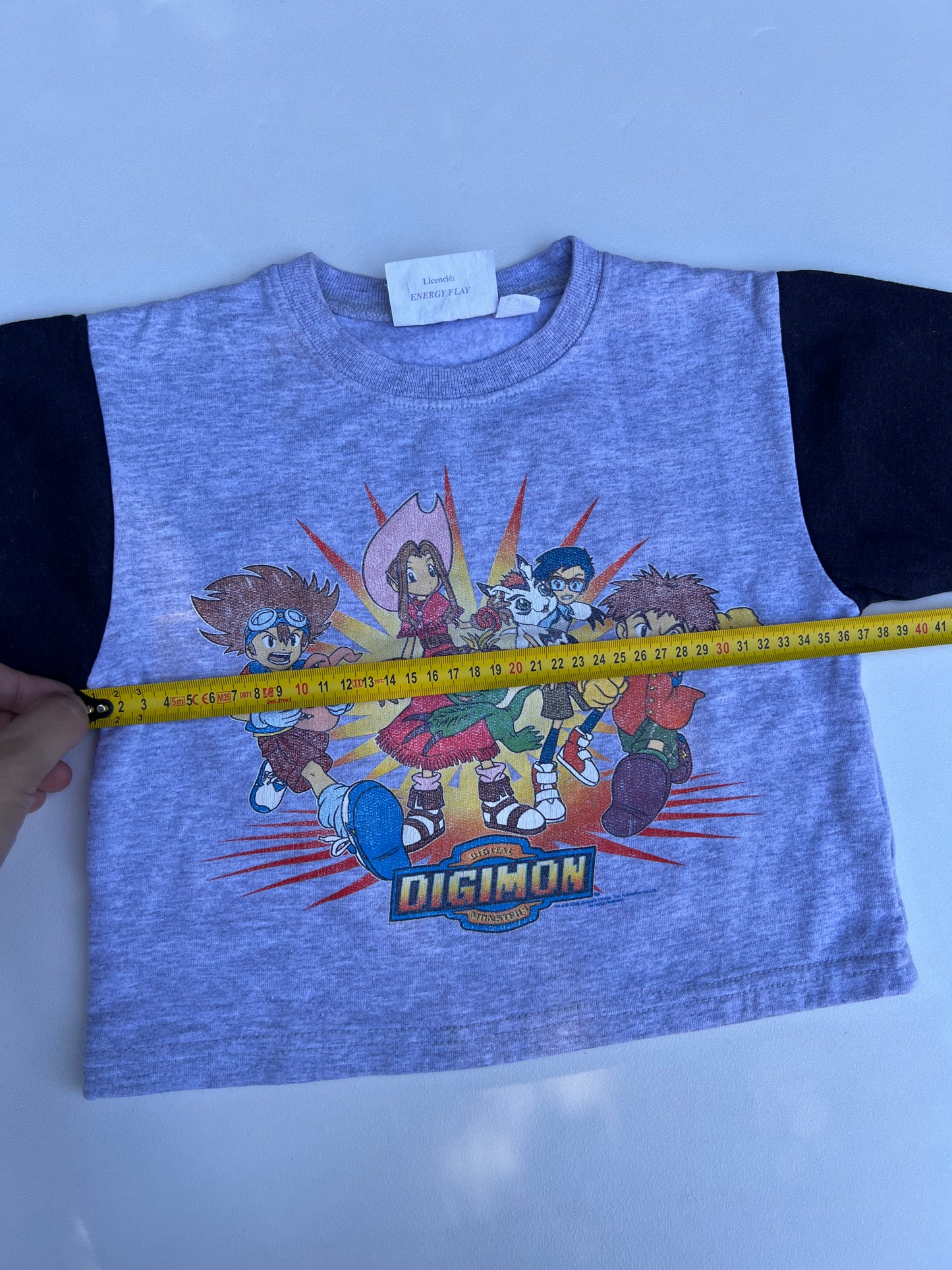 Digimon Sweater 4Y