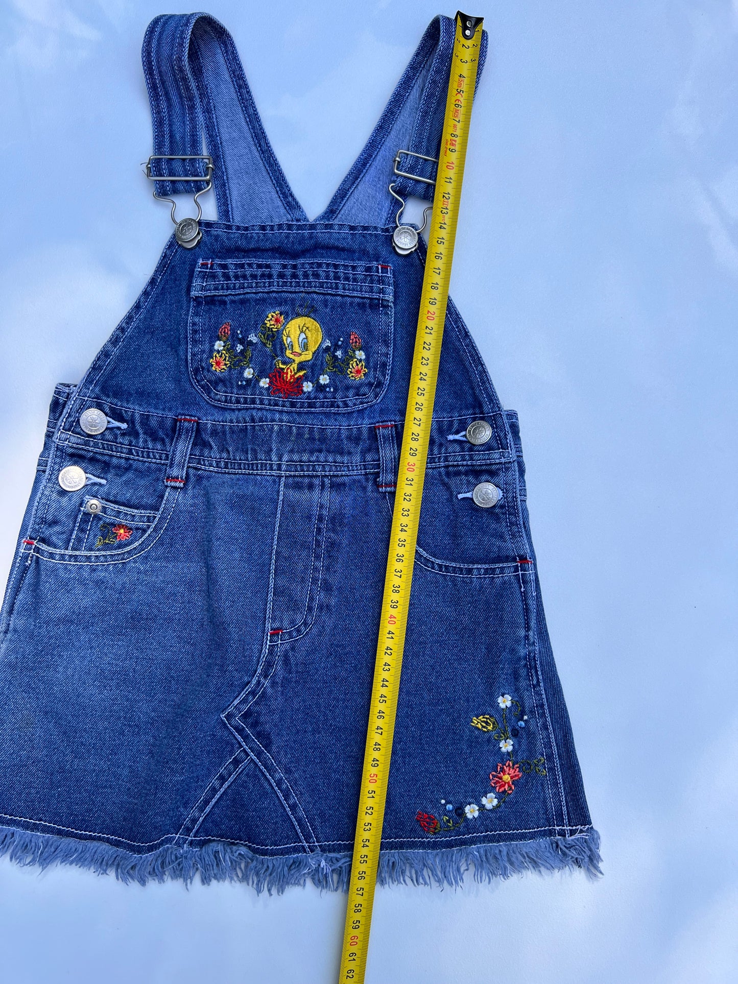 Looney Tunes Dress 5Y