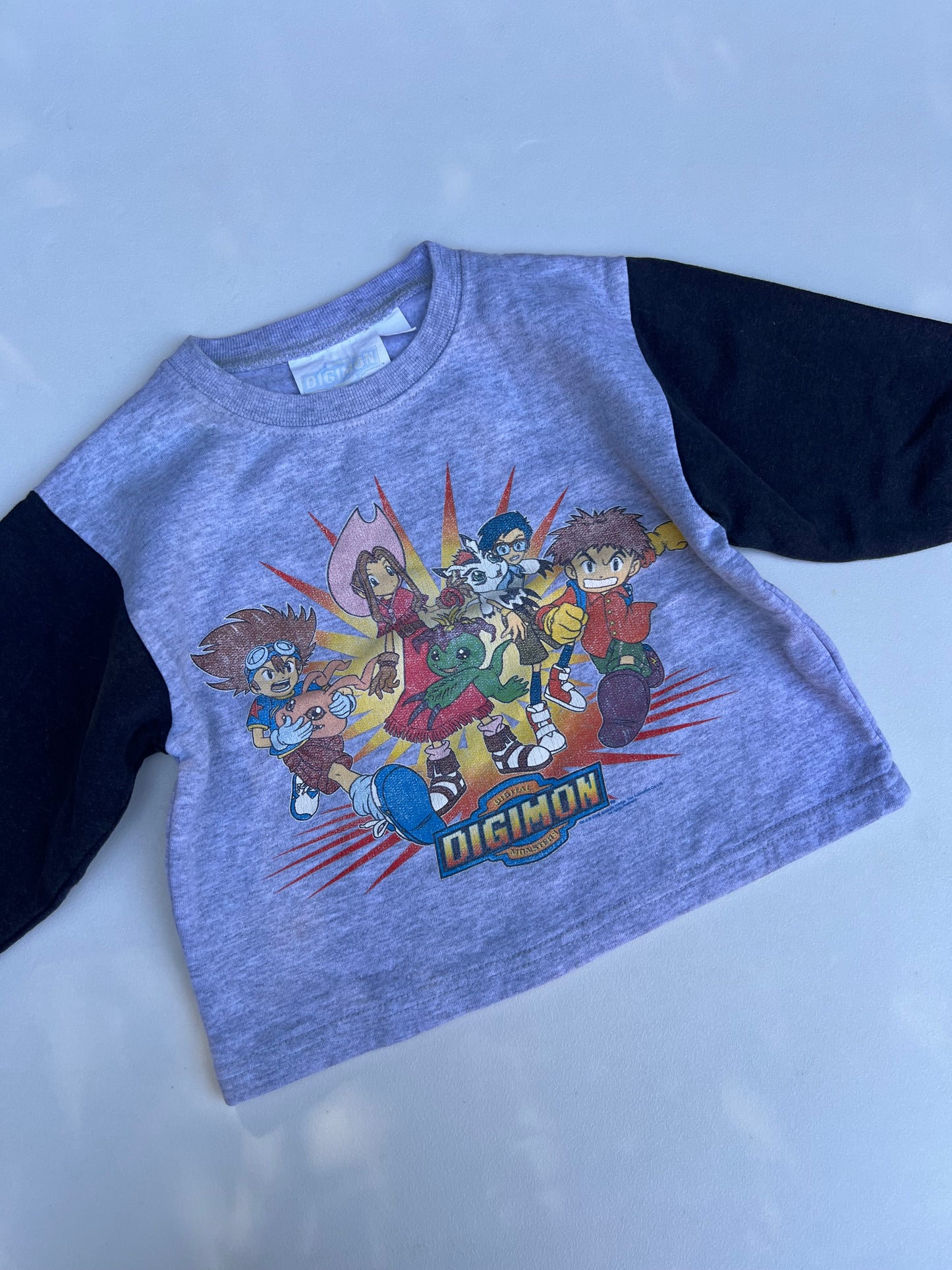 Digimon Sweater 4Y
