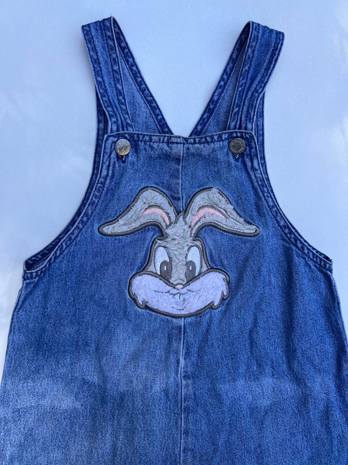 Looney Tunes Overalls 24M