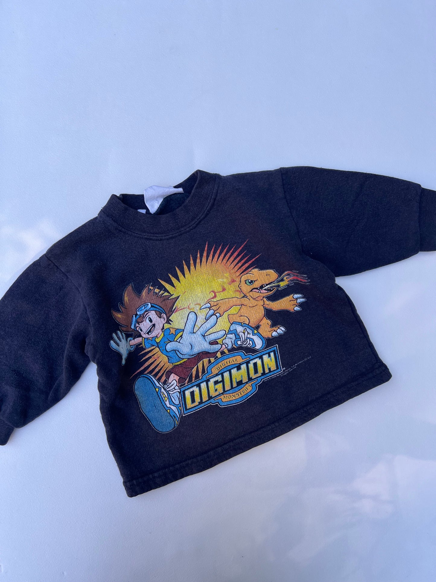 Digimon Sweater 2Y