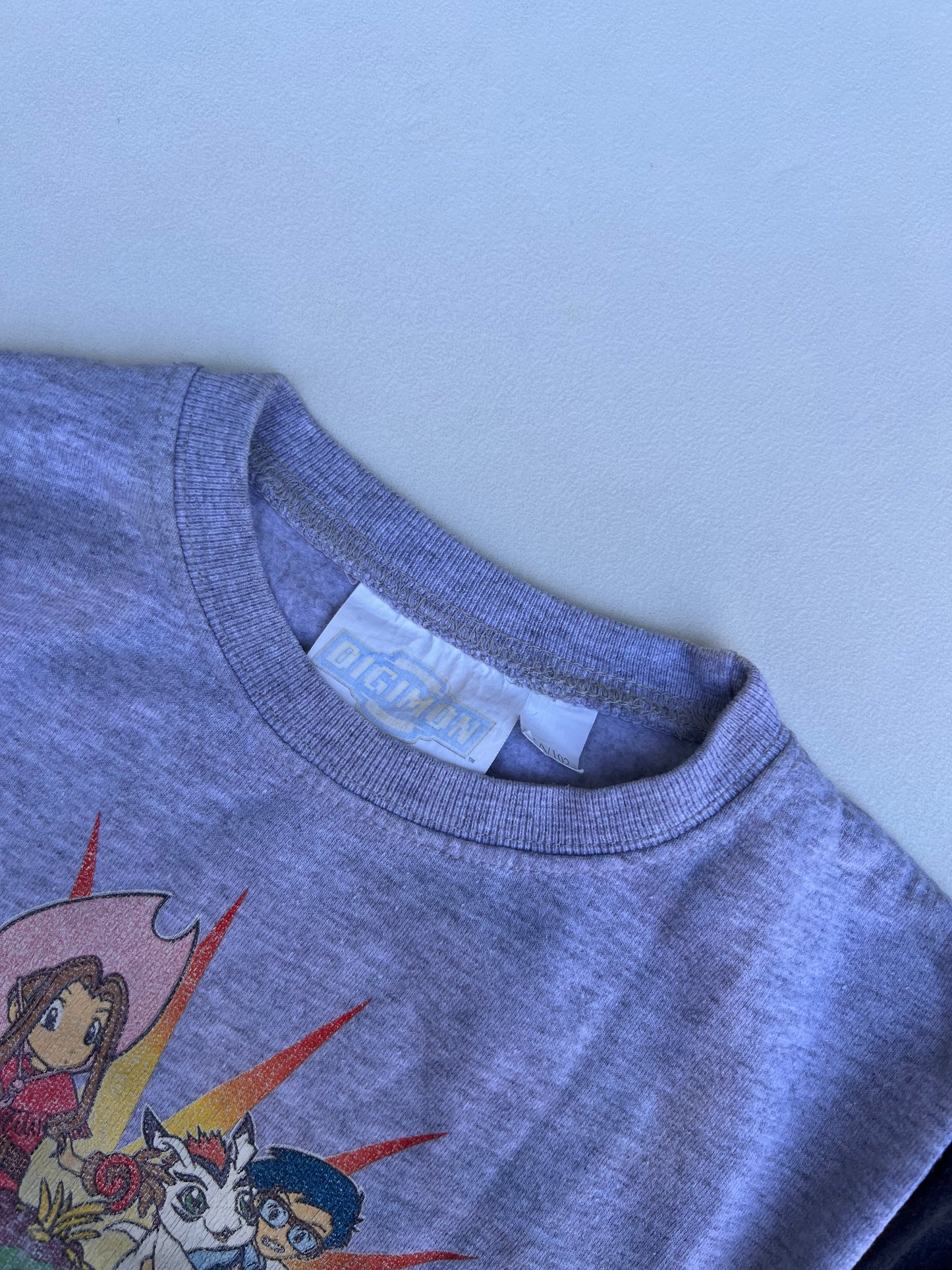 Digimon Sweater 4Y