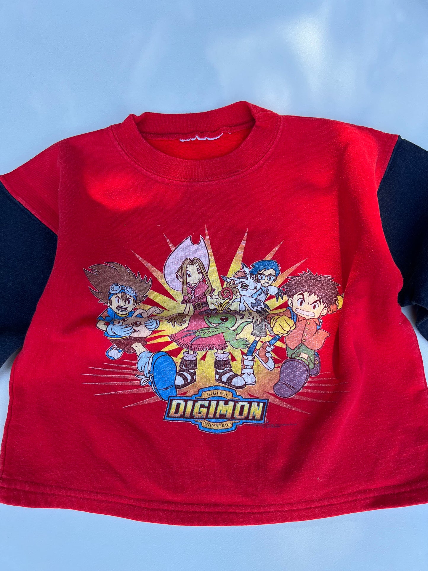 Digimon Sweater 5Y