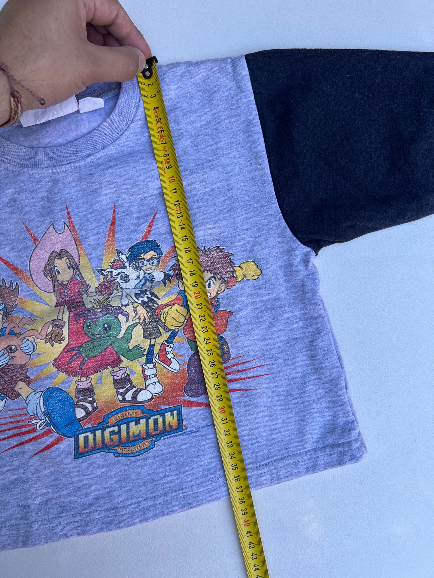 Digimon Sweater 4Y
