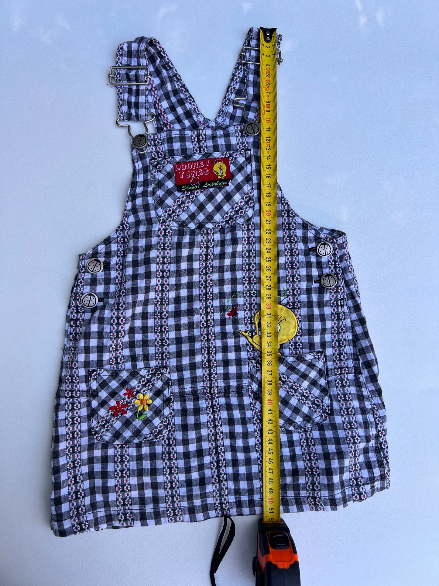 Looney Tunes Set 2-3Y