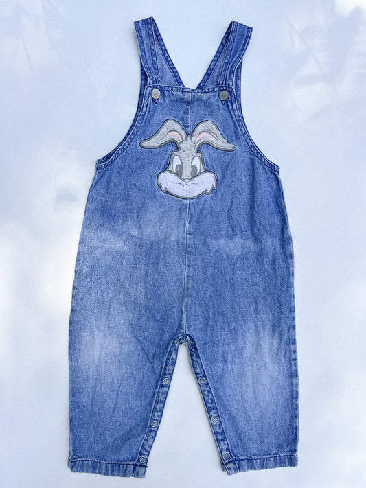 Looney Tunes Overalls 24M