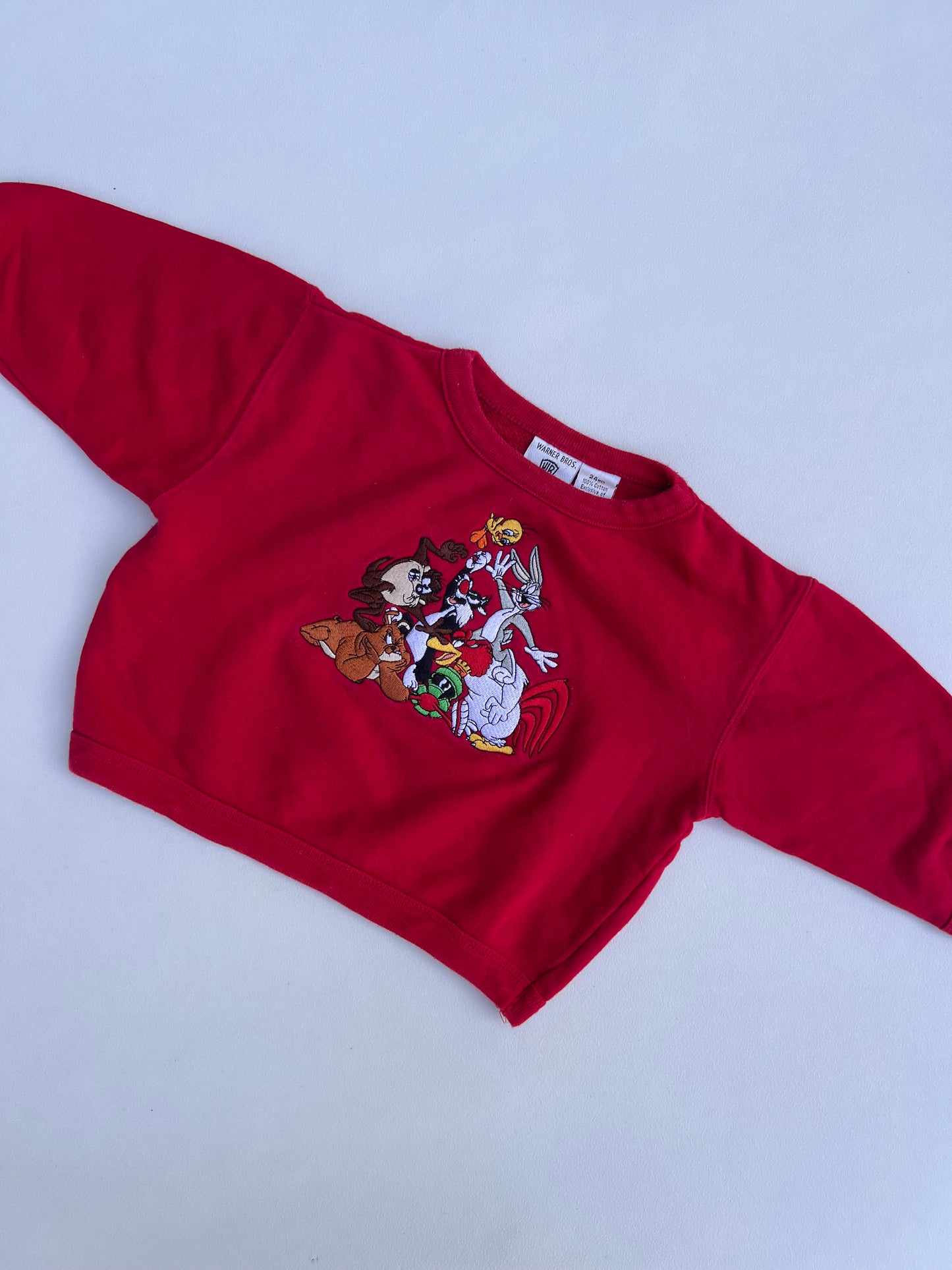 Warner Bros Sweater 24M