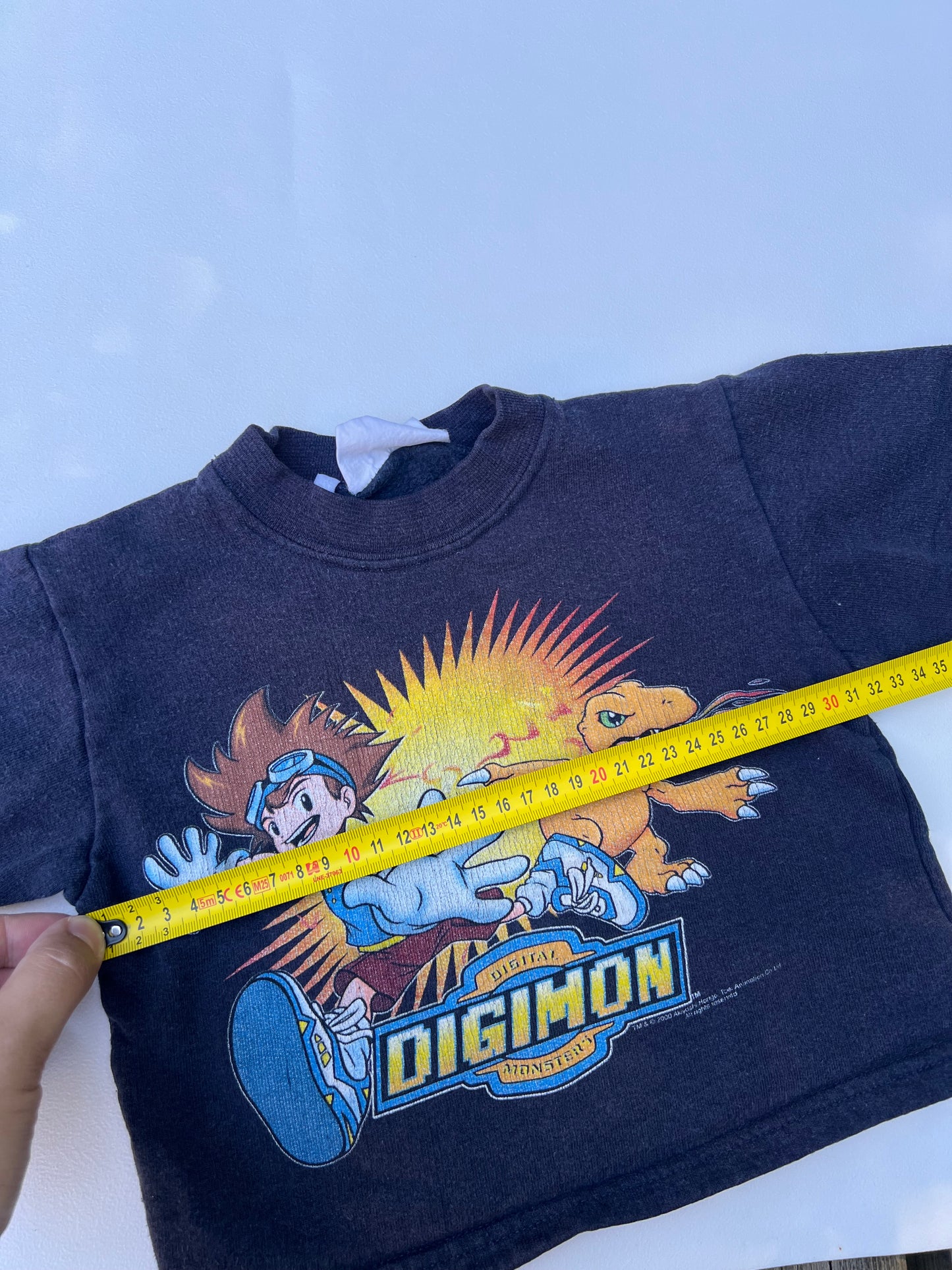 Digimon Sweater 2Y