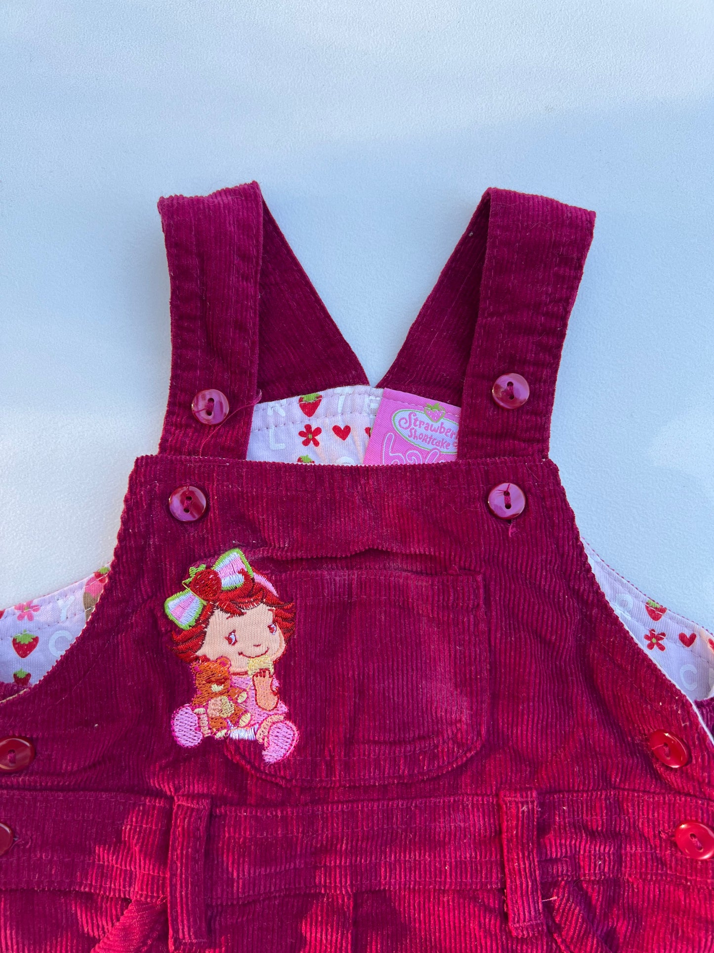 2008 Strawberry Shortcake Dress 6M