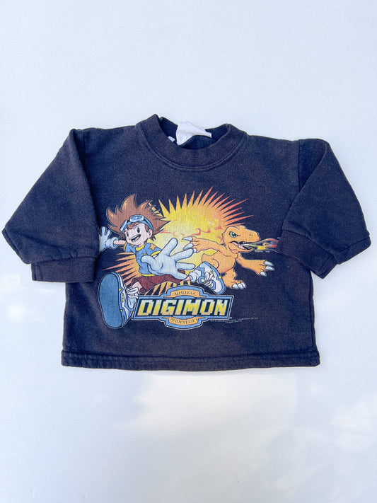 Digimon Sweater 2Y