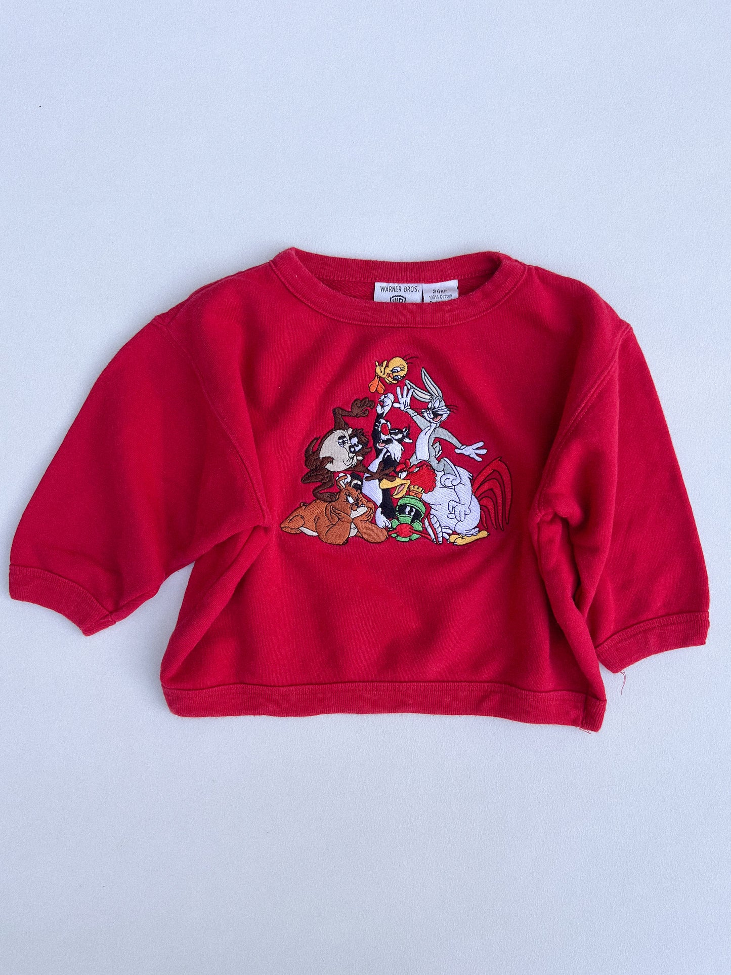 Warner Bros Sweater 24M