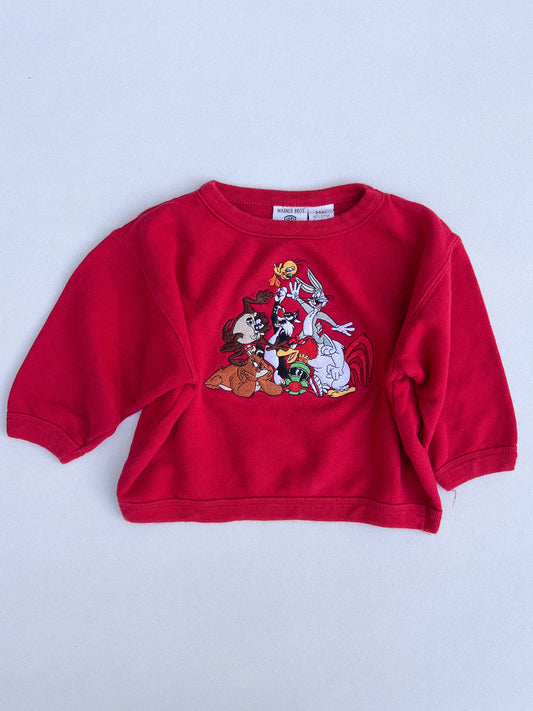 Warner Bros Sweater 24M