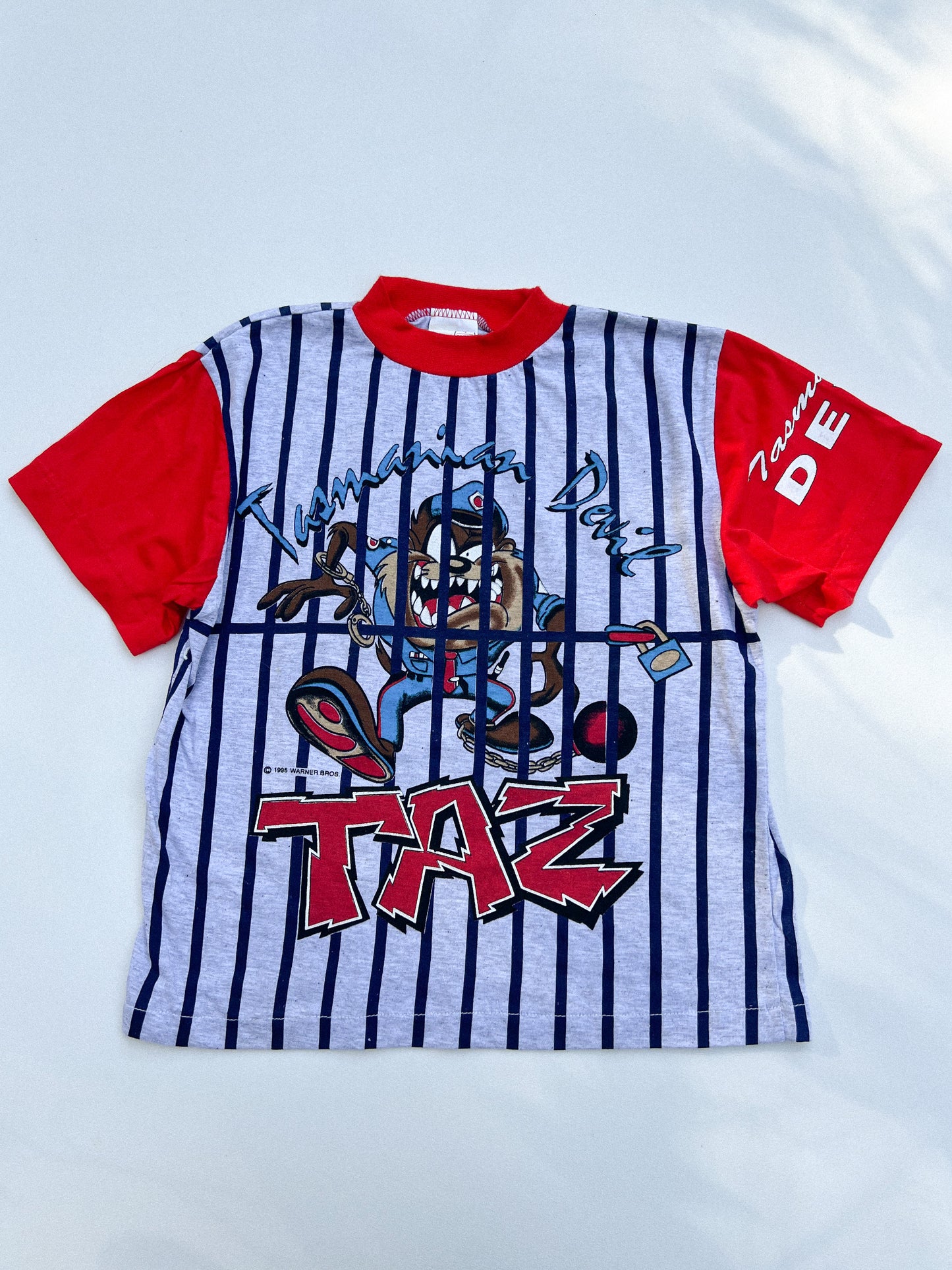 TAZ AOP Tee 4Y