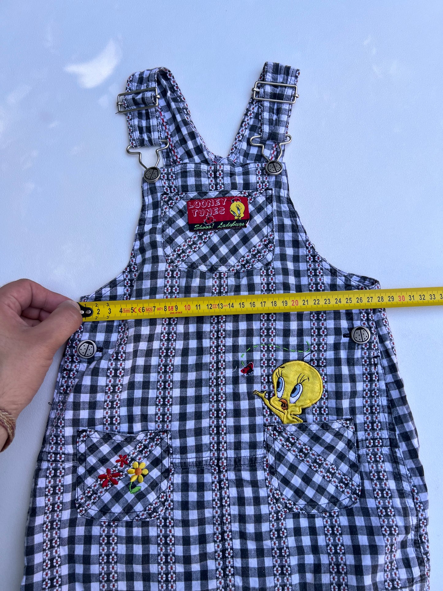 Looney Tunes Set 2-3Y