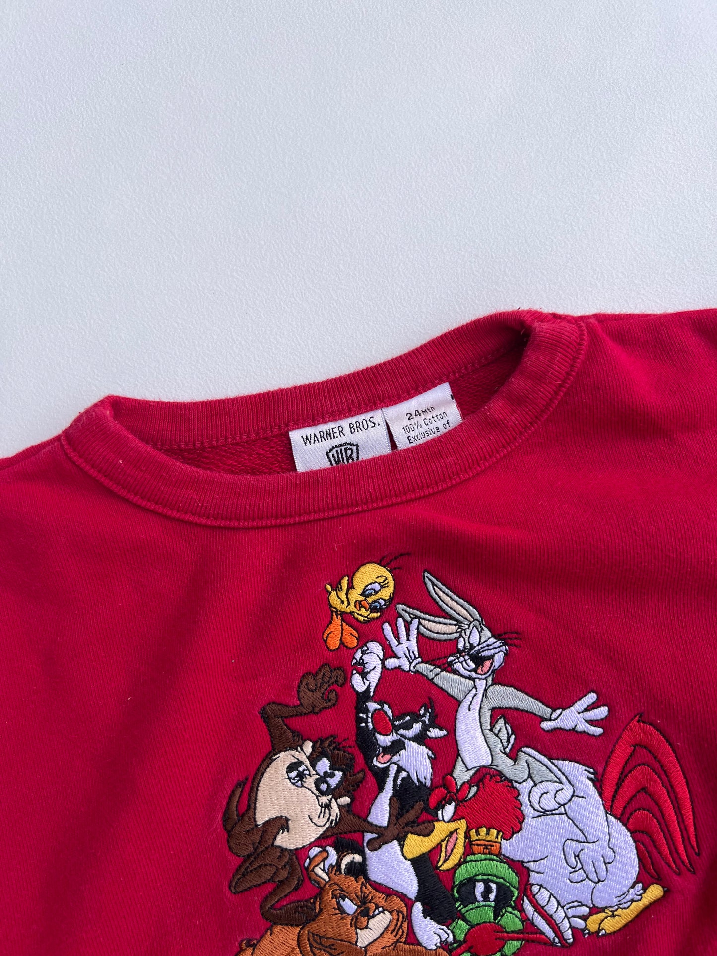 Warner Bros Sweater 24M