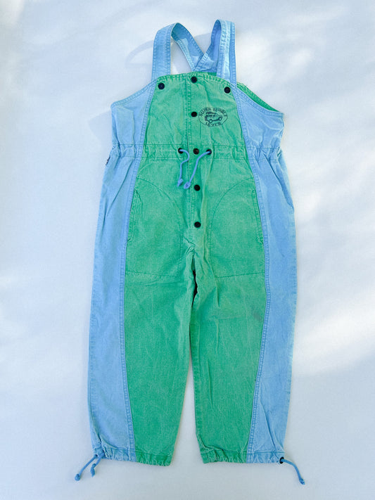 Levi’s Overalls 5Y