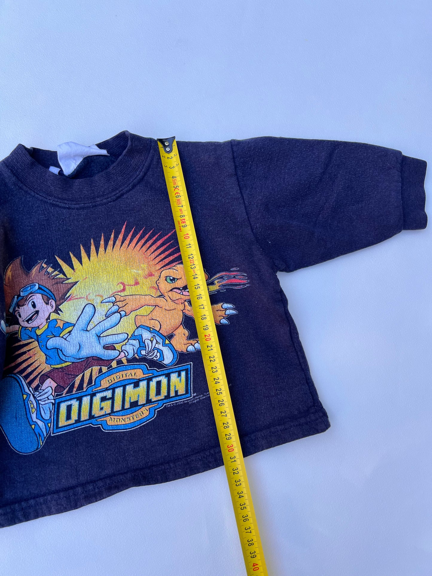 Digimon Sweater 2Y