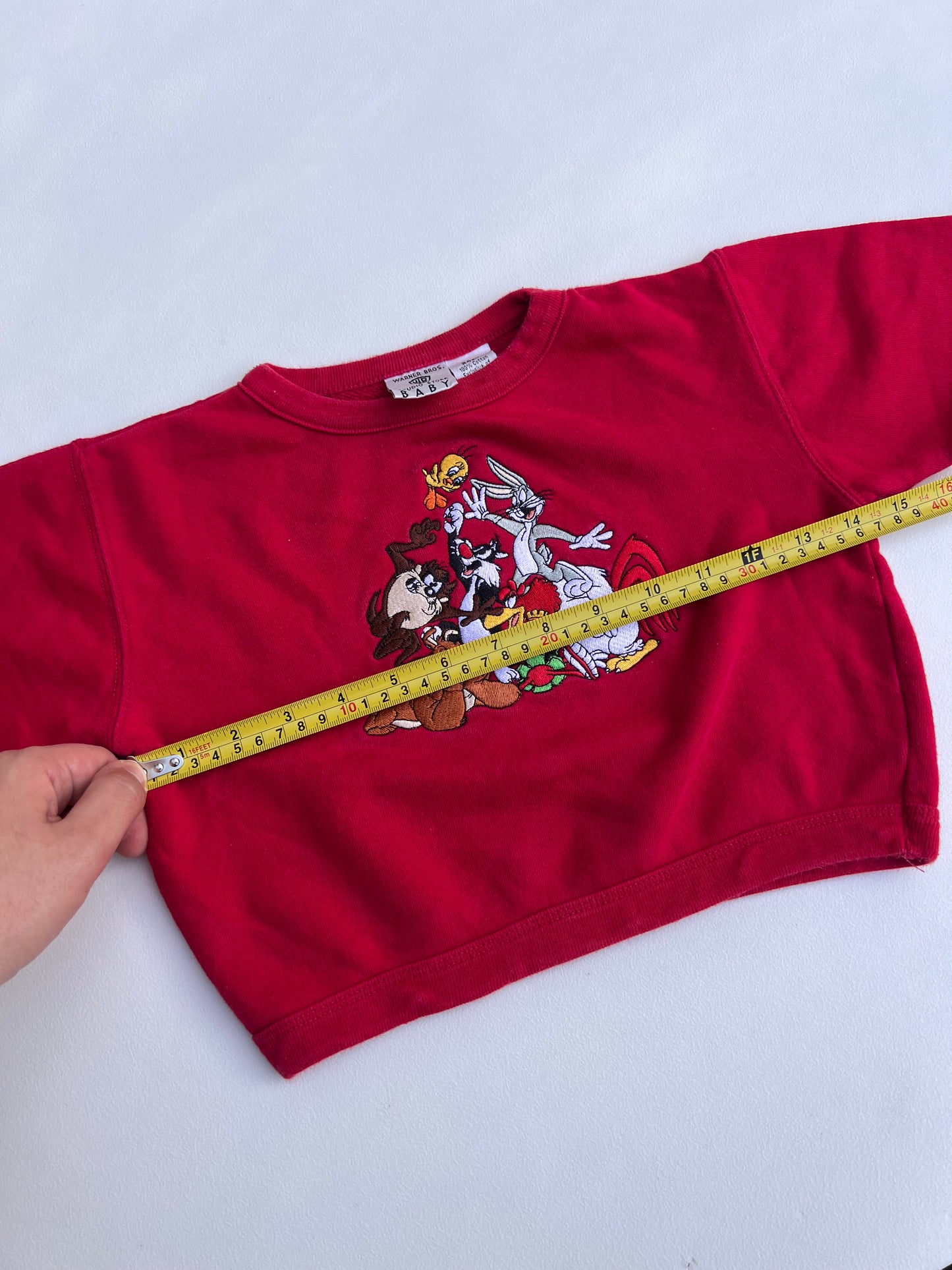 Warner Bros Sweater 24M