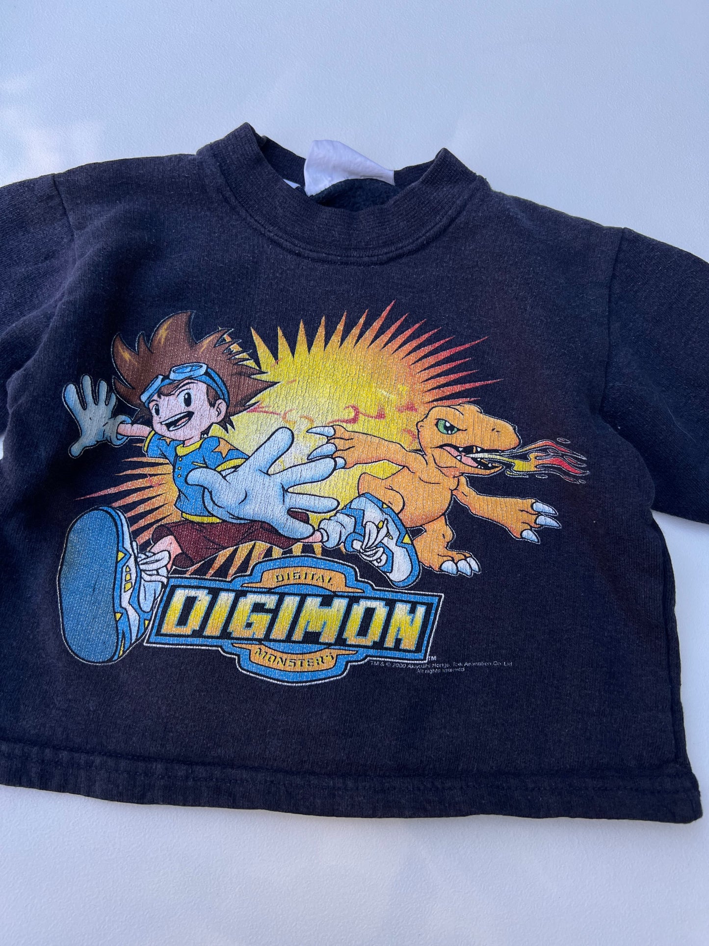 Digimon Sweater 2Y